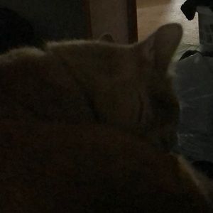 Meet your Posher, Angie